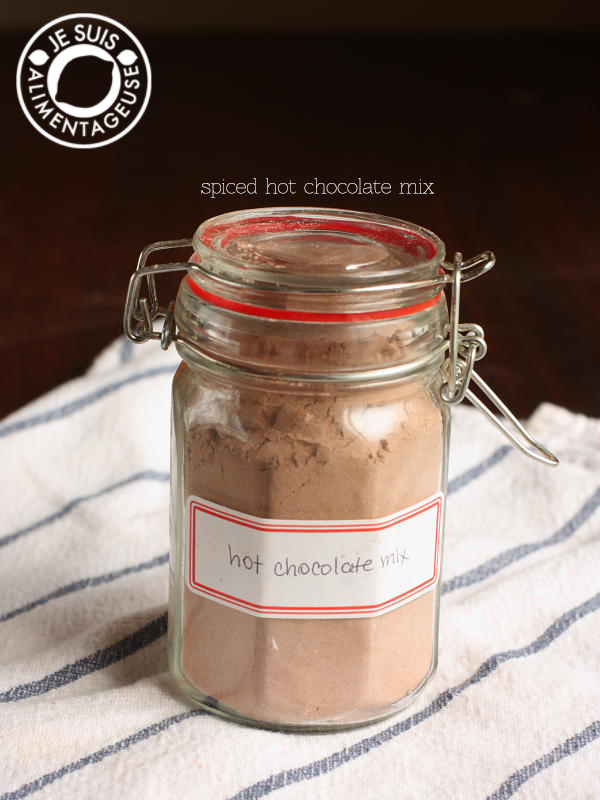 Spiced Hot Chocolate Mix | alimentageuse.com #hotchocolate #chocolate #fall #gift #DIY
