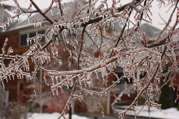 Ice Storm Toronto December 2013 #darkTO #iceTO