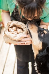Guest Post by Produce on Parade - Vegan Mushroom Soup