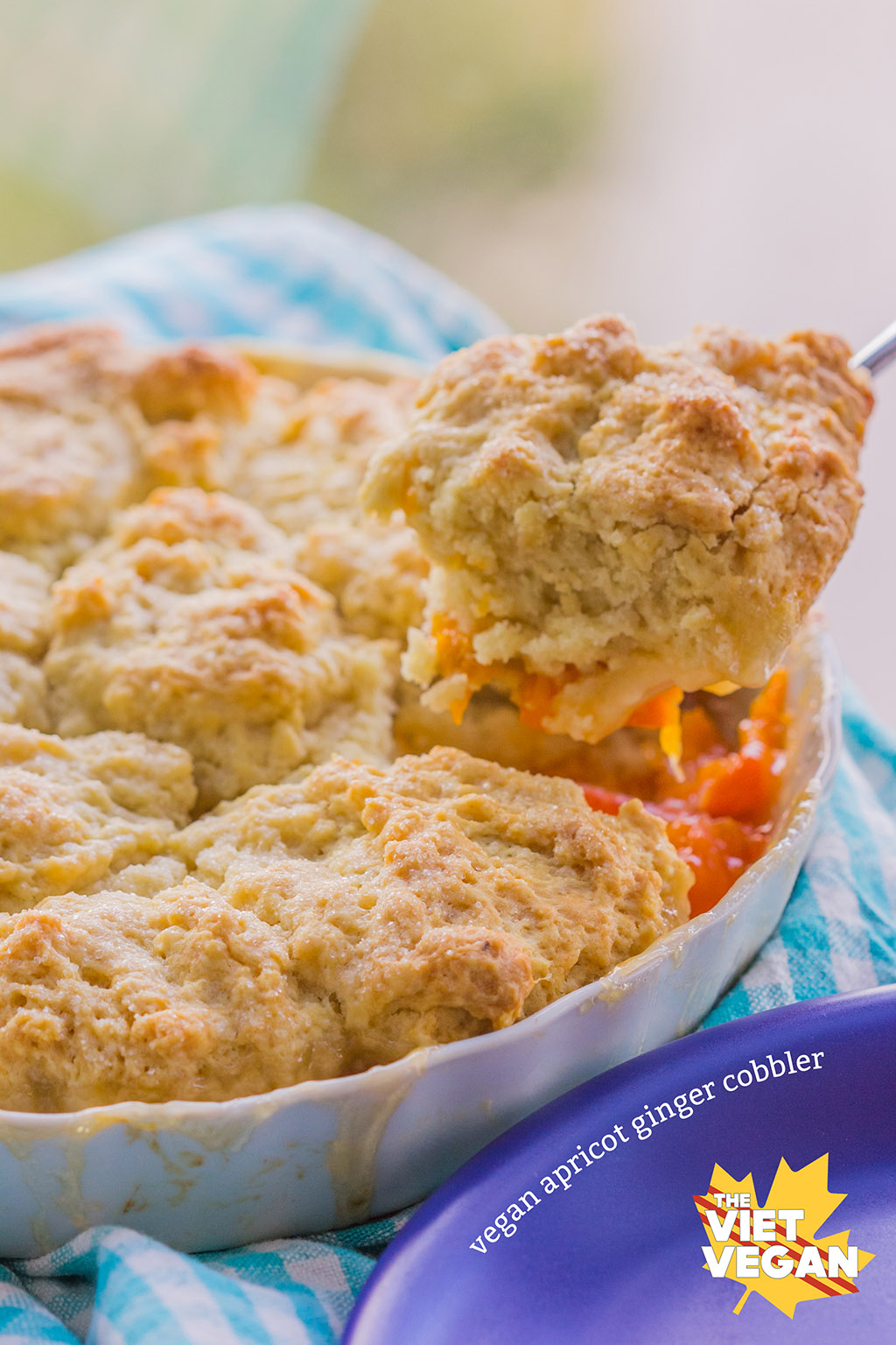 Vegan Apricot Ginger Cobbler | The Viet Vegan | Summer apricots married with ginger make for a sweet and tart dessert perfect for the patio