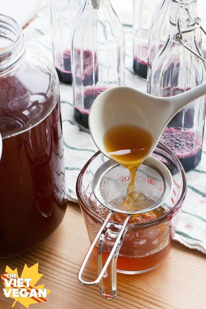 Homemade haskapa Kombucha | The Viet Vegan | Easy to make your own kombucha at home with tea, sugar, a SCOBY, and some haskapa berry juice!