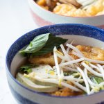 Instant Pot Vegan Pho | The Viet Vegan