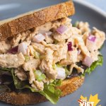 Vertical angle of vegan spicy chicken salad on a plate