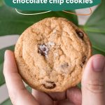 chocolate chip cookie with salt flakes on top, hed in front of a monstera leaf (with text title on top)