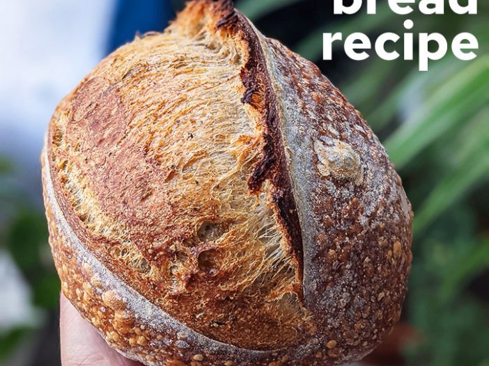 title photo with plain sourdough loaf, held in hand in front of some houseplants
