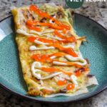 folded over banh trang nuong chay topped with vegan kewpie mayo and Vietnamese chili sauce